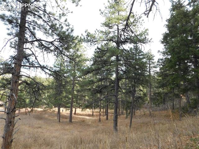 Photo 23 of 8055 Acoma Drive, Larkspur