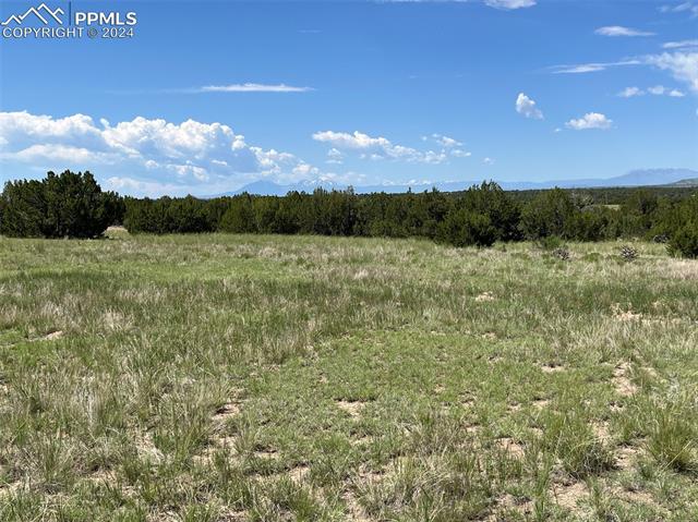 Photo 8 of Railroad Springs Road, Pueblo