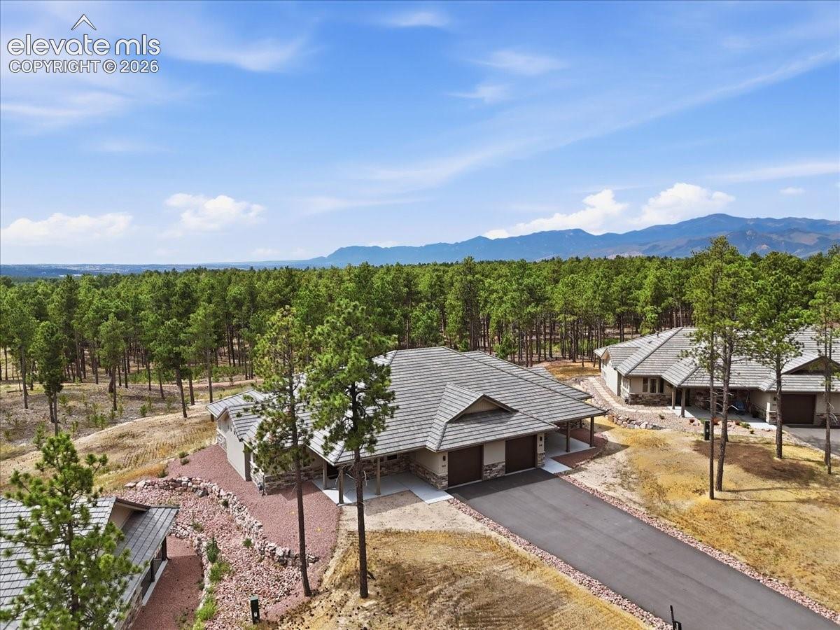 Photo 16 of 3145 Promise Point, Colorado Springs