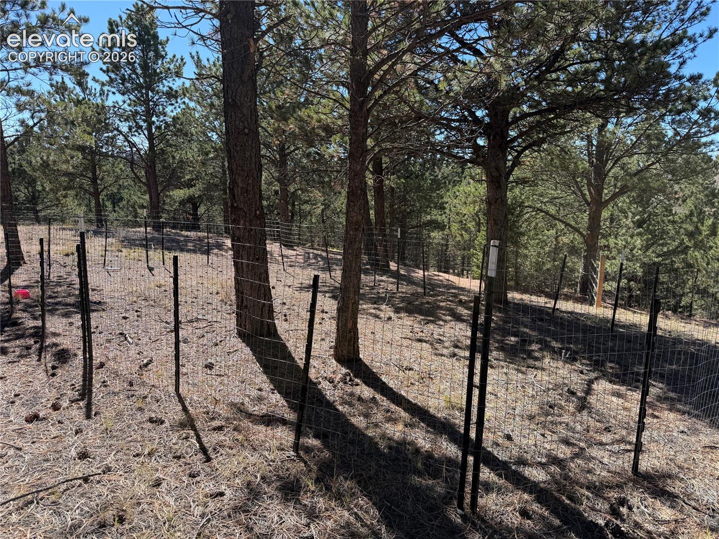Wooded grounds featuring mature pine trees and perimeter wire fencing