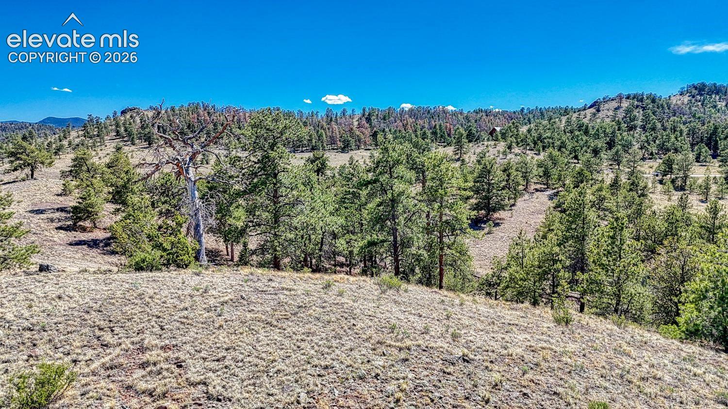 Photo 21 of Lot 11 Highway 9, Hartsel