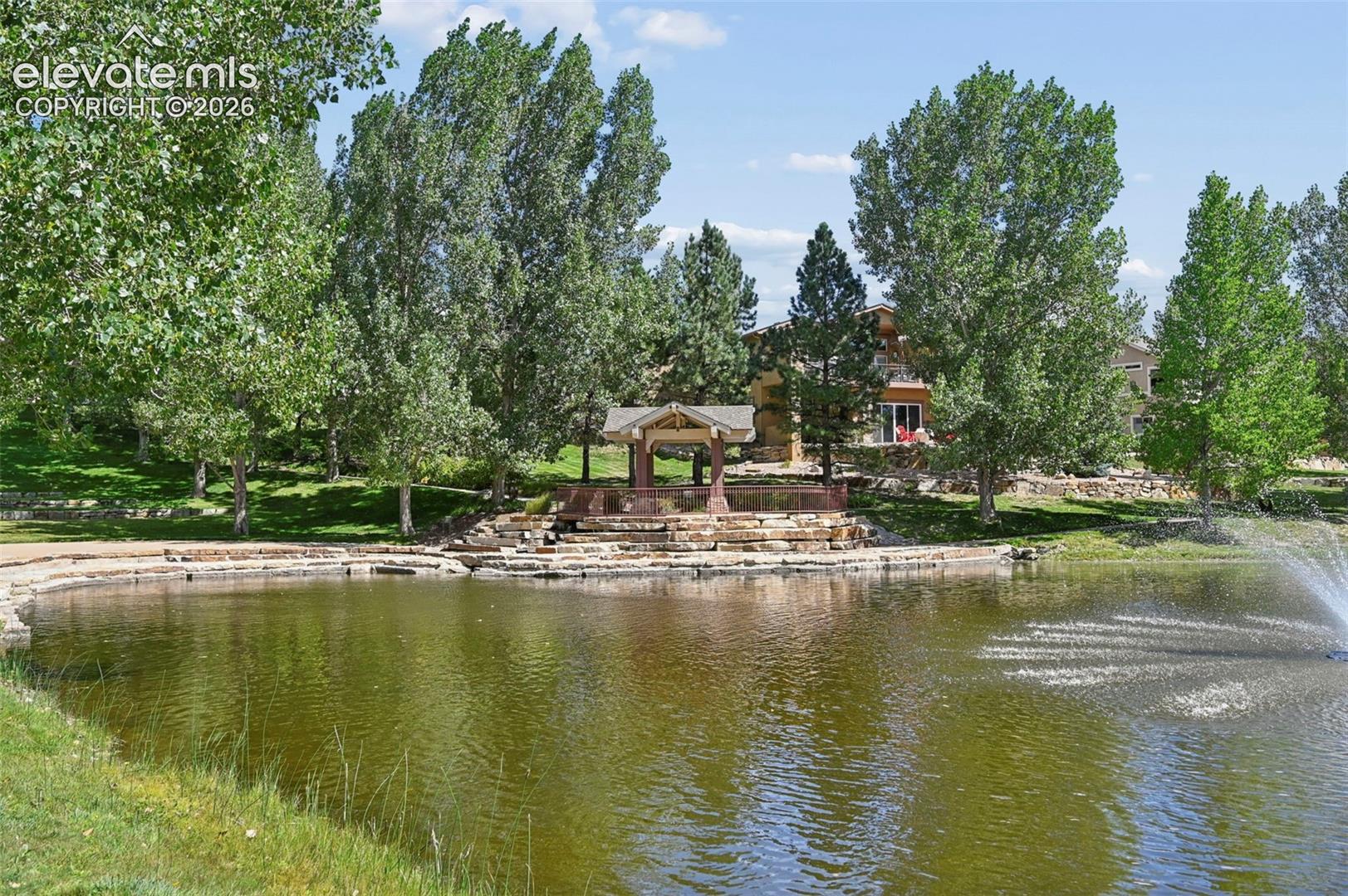 Neighborhood Pond