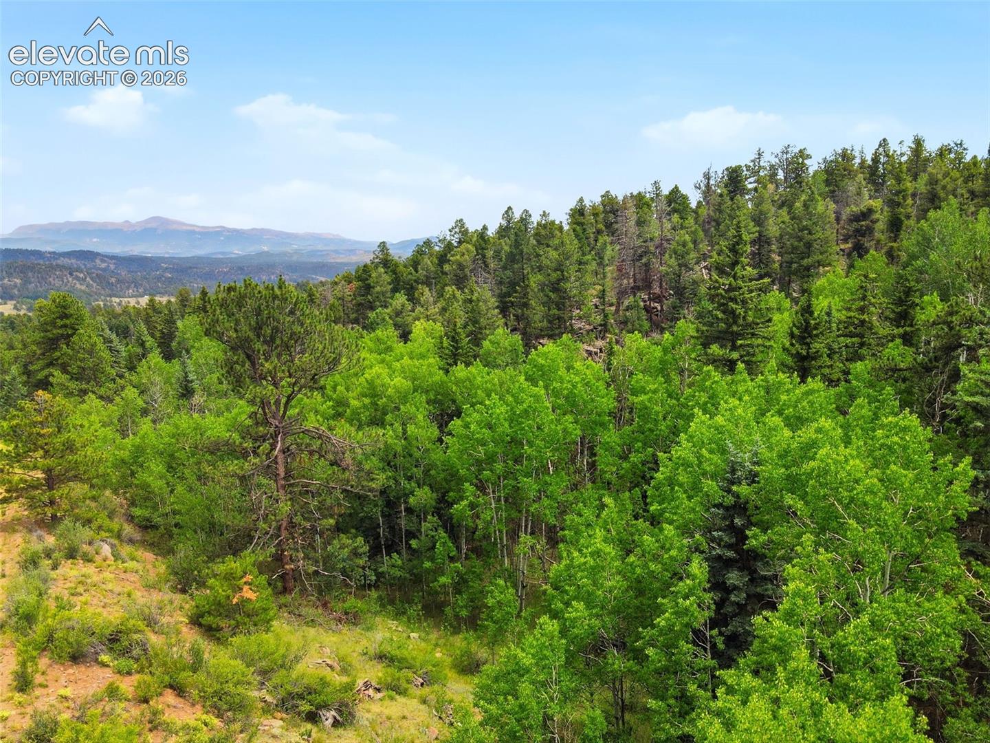 1310 Park Ridge Dr, Guffey, CO 80820