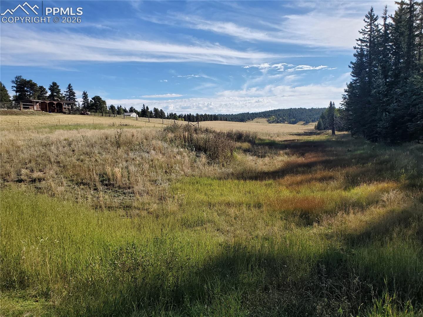 Photo 9 of 309 Pinaceae Heights, Divide