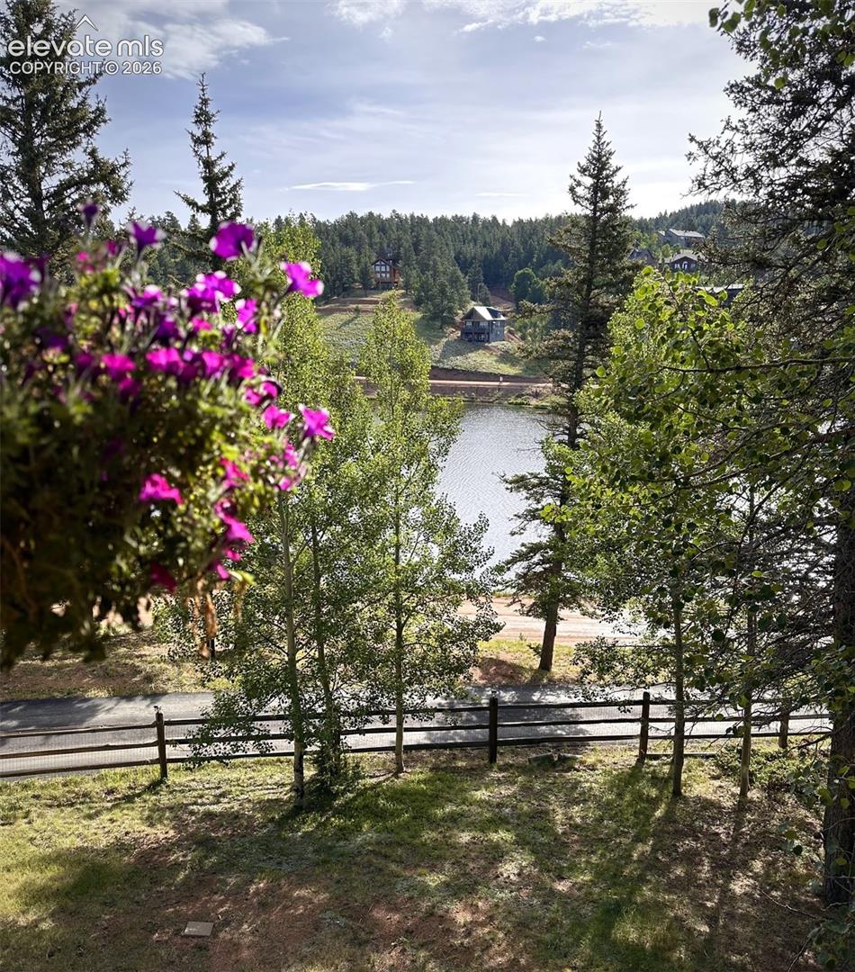 View from porch