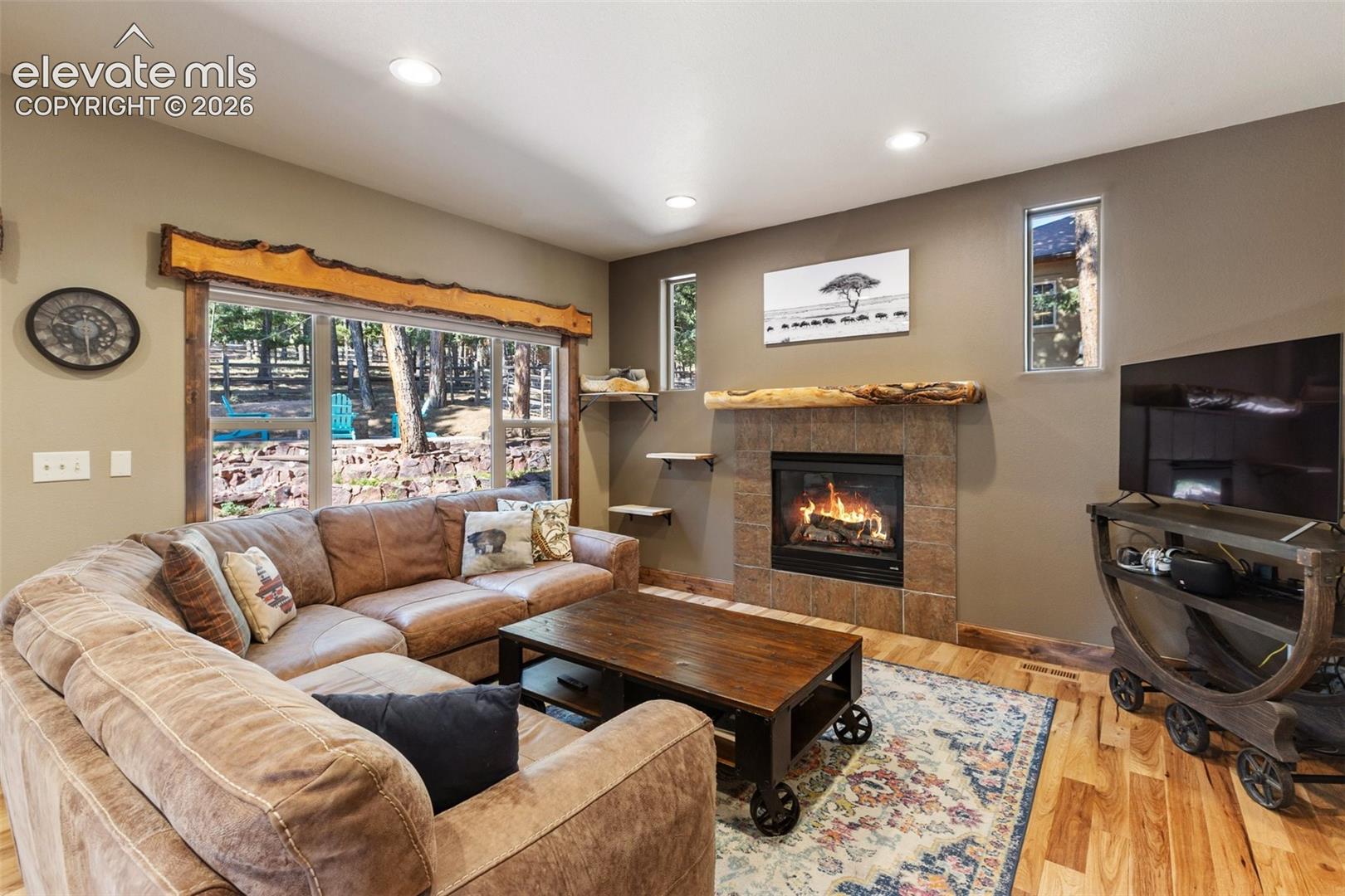 Gas fireplace