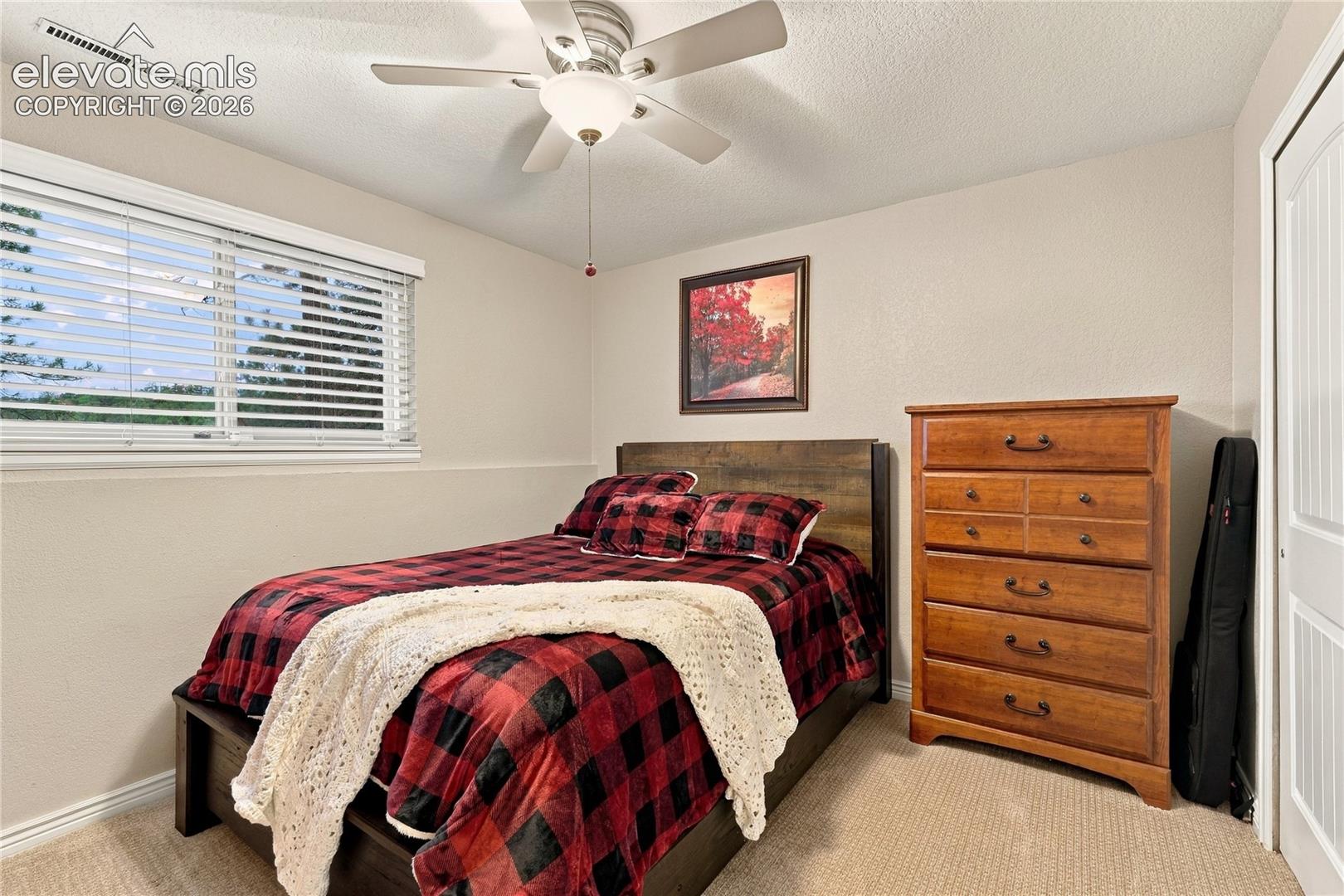 Photo 33 of 4730 Michael Place, Colorado Springs