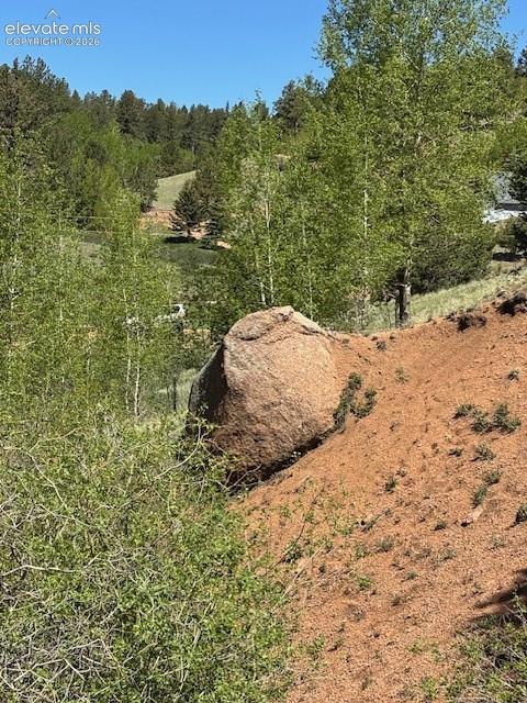 124 Yorktown Rd, Cripple Creek, CO 80813