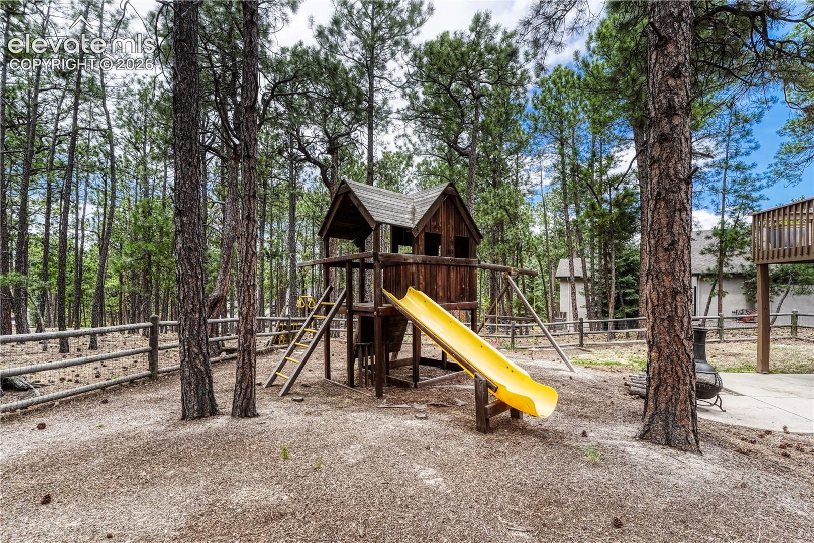 Backyard fun!
