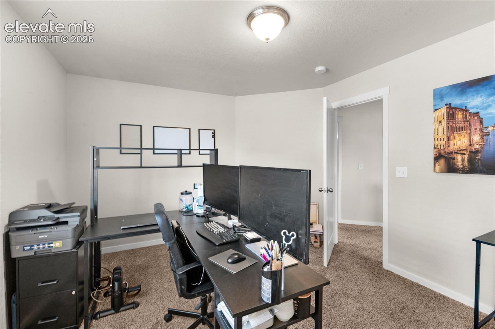 Neutral-toned walls, carpeted flooring, and a flush-mount ceiling light fixture
