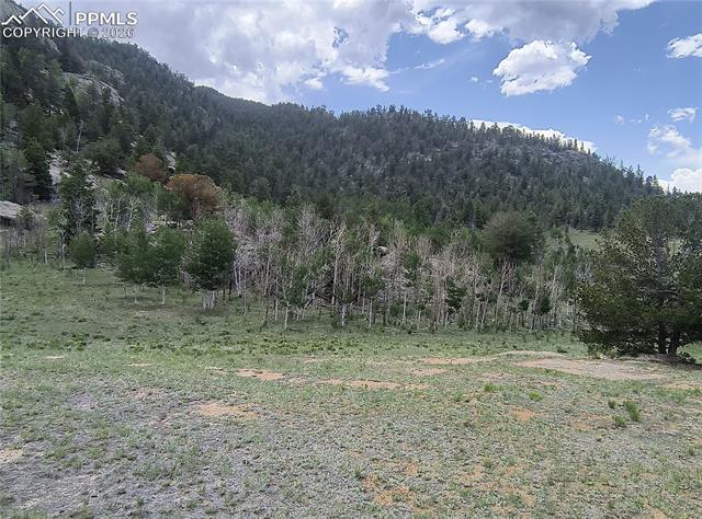 View of mountain backdrop with a forest