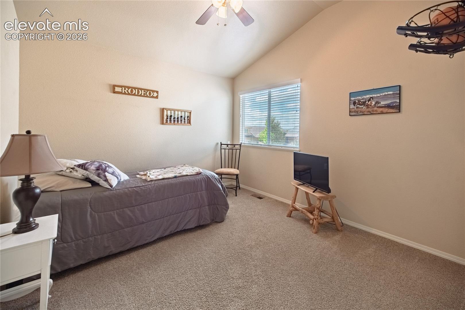 Vaulted Ceilings