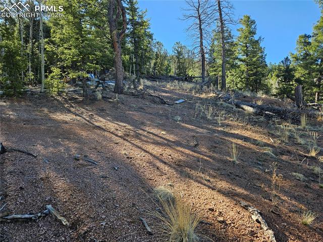 Photo 27 of 652 Derby Drive, Cripple Creek