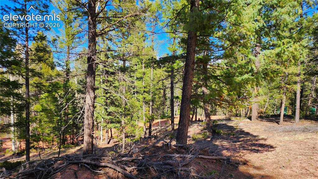 178 Gerka Ln, Florissant, CO 80816