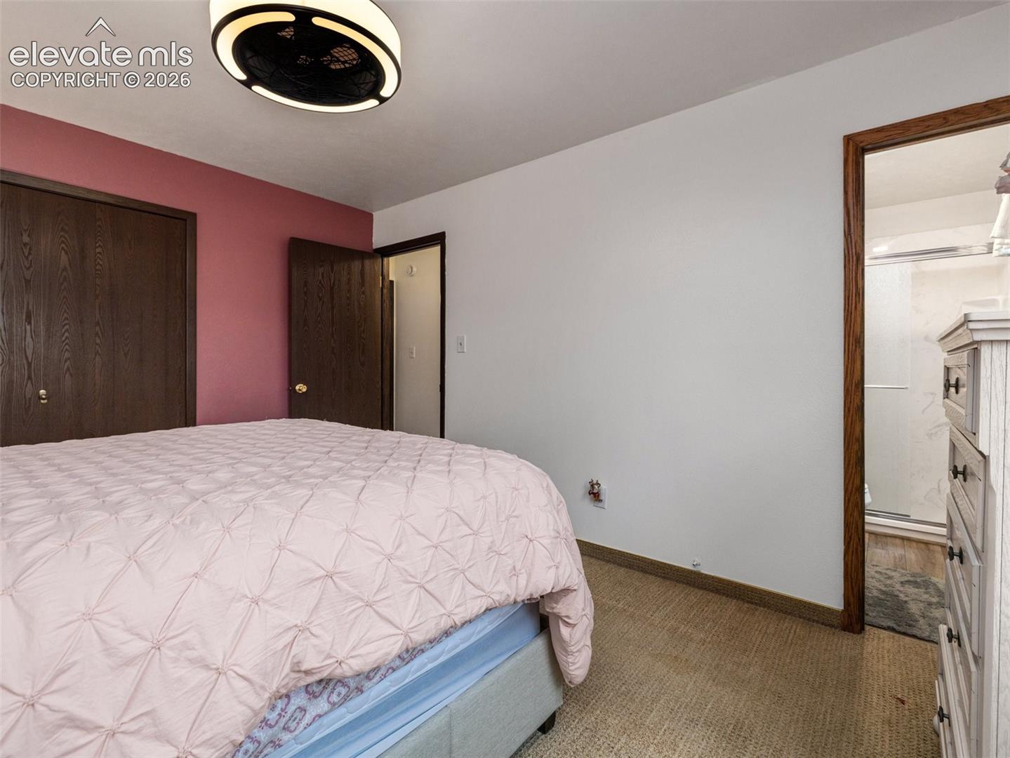 Carpeted flooring, white walls, dark wood-finish doors, and a ceiling-mounted light fixture