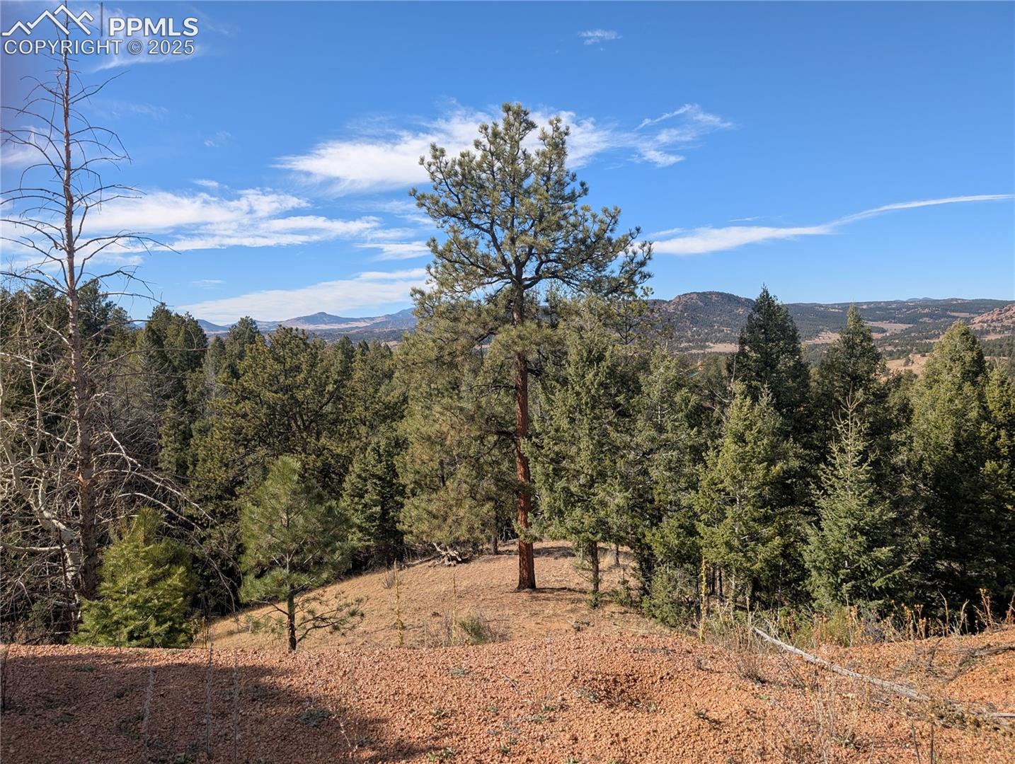 Photo 15 of 130 Lookout Road, Cripple Creek