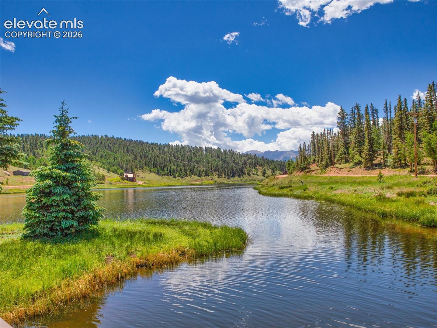 810 Ridge Rd, Divide, CO 80814