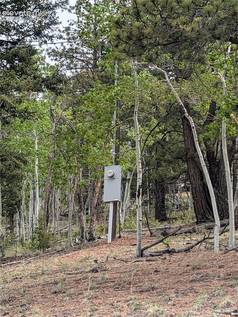 Electric meter and pole onsite