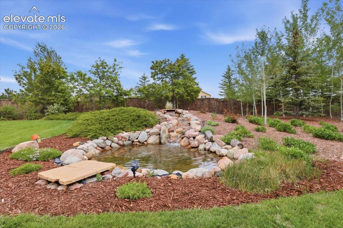 Recirculating waterfall and pond!