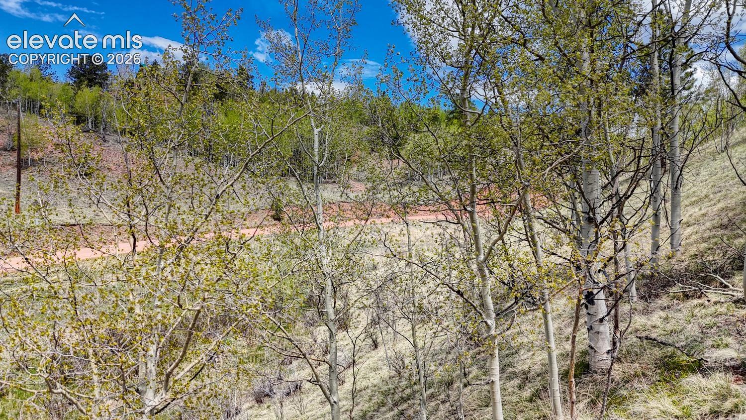 Photo 6 of 2031 Gold King Drive, Cripple Creek
