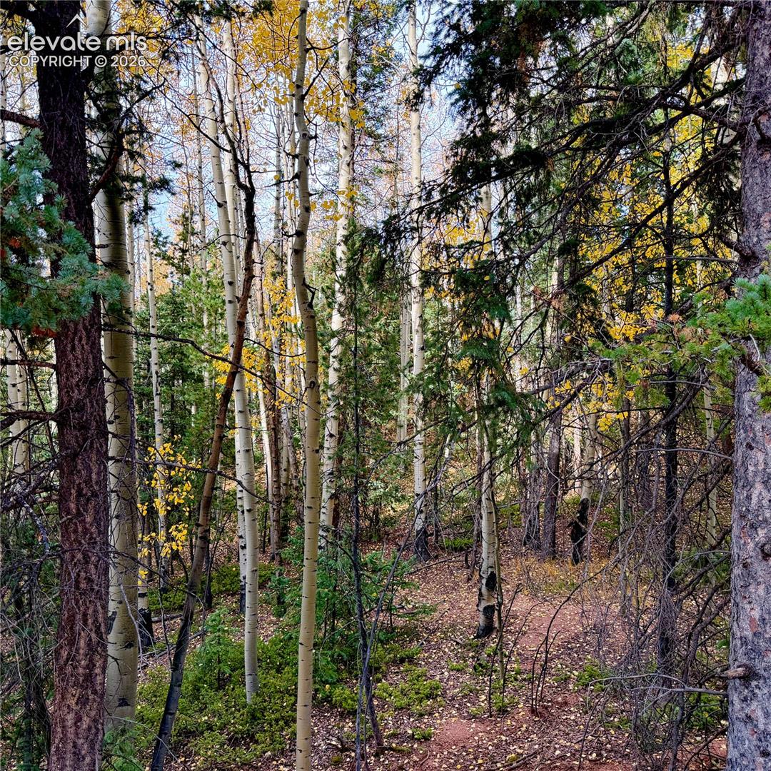 Photo 14 of 1341 Calcite Drive, Divide