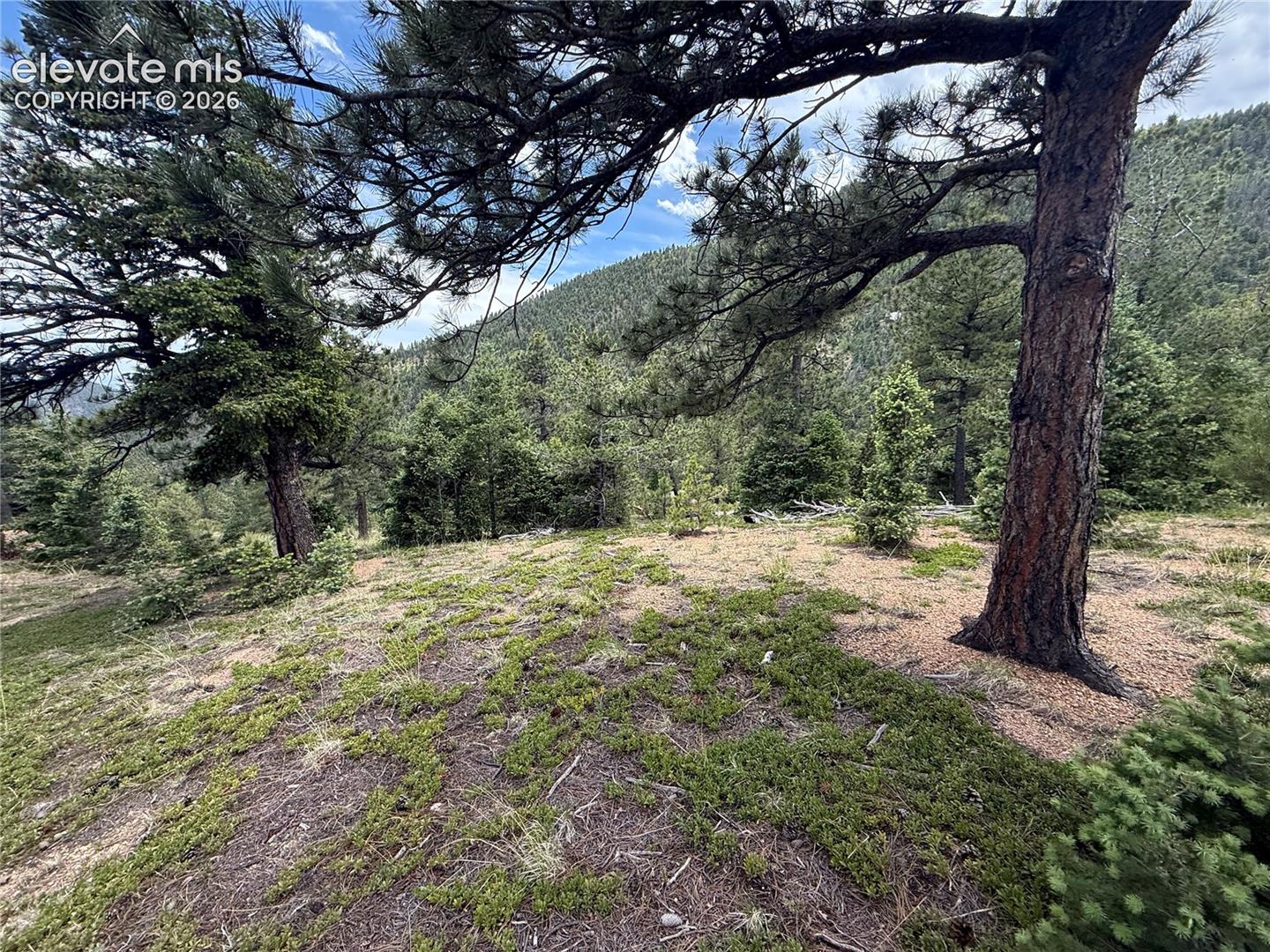 Lot with mountain views behind