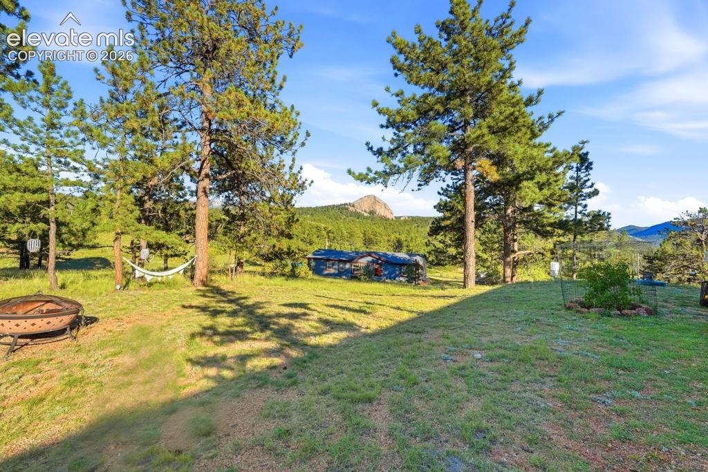 Expansive grassy area with mature trees and a distant mountainous backdrop