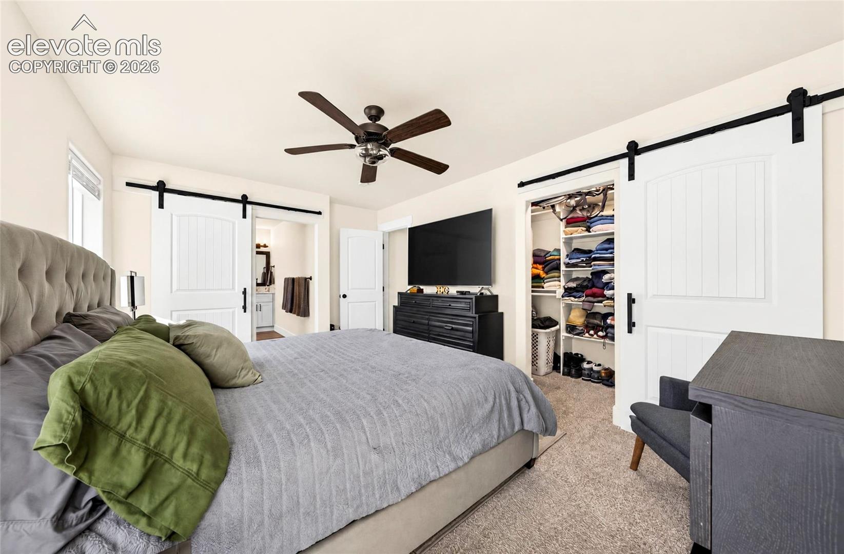 White sliding barn doors, interior room featuring neutral carpeting, ceiling fan with light fixture, and built-in closet shelving