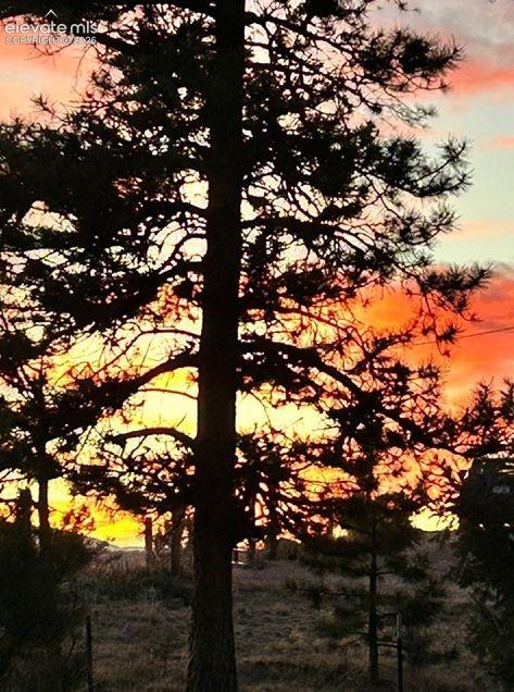 877 N Mountain Estates Rd, Florissant, CO 80816