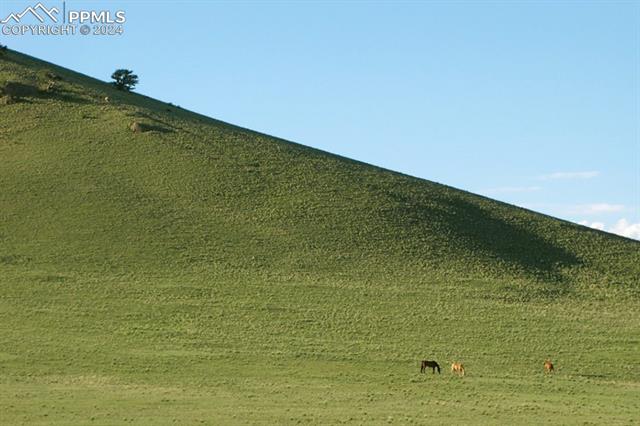 Photo 6 of 1185 County Road 734, Fairplay