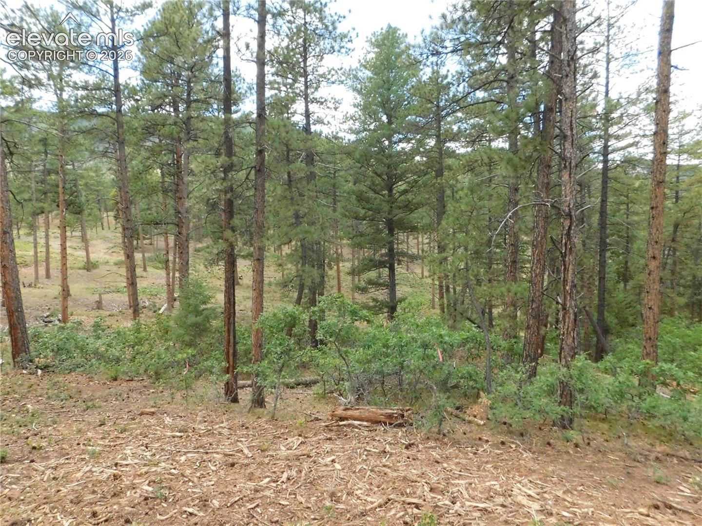 Photo 36 of 8139 Bannock Drive, Larkspur