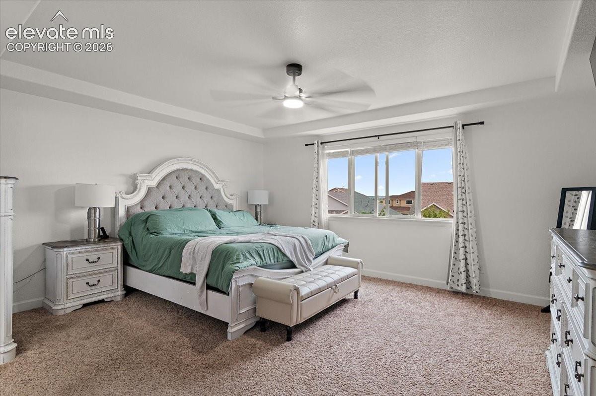 Photo 13 of 7502 Peachleaf Drive, Colorado Springs