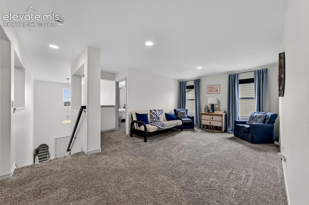 New carpet