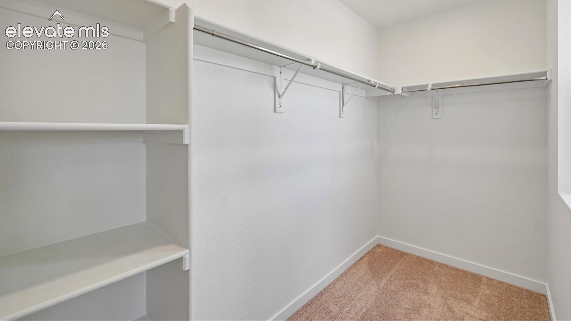 Walk-in storage space featuring built-in shelving, white finish walls, and carpet flooring