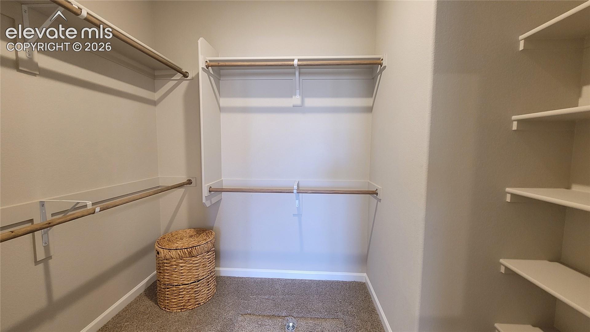 Primary walk-in closet with wood shelving, rods, and access to the crawl space! 