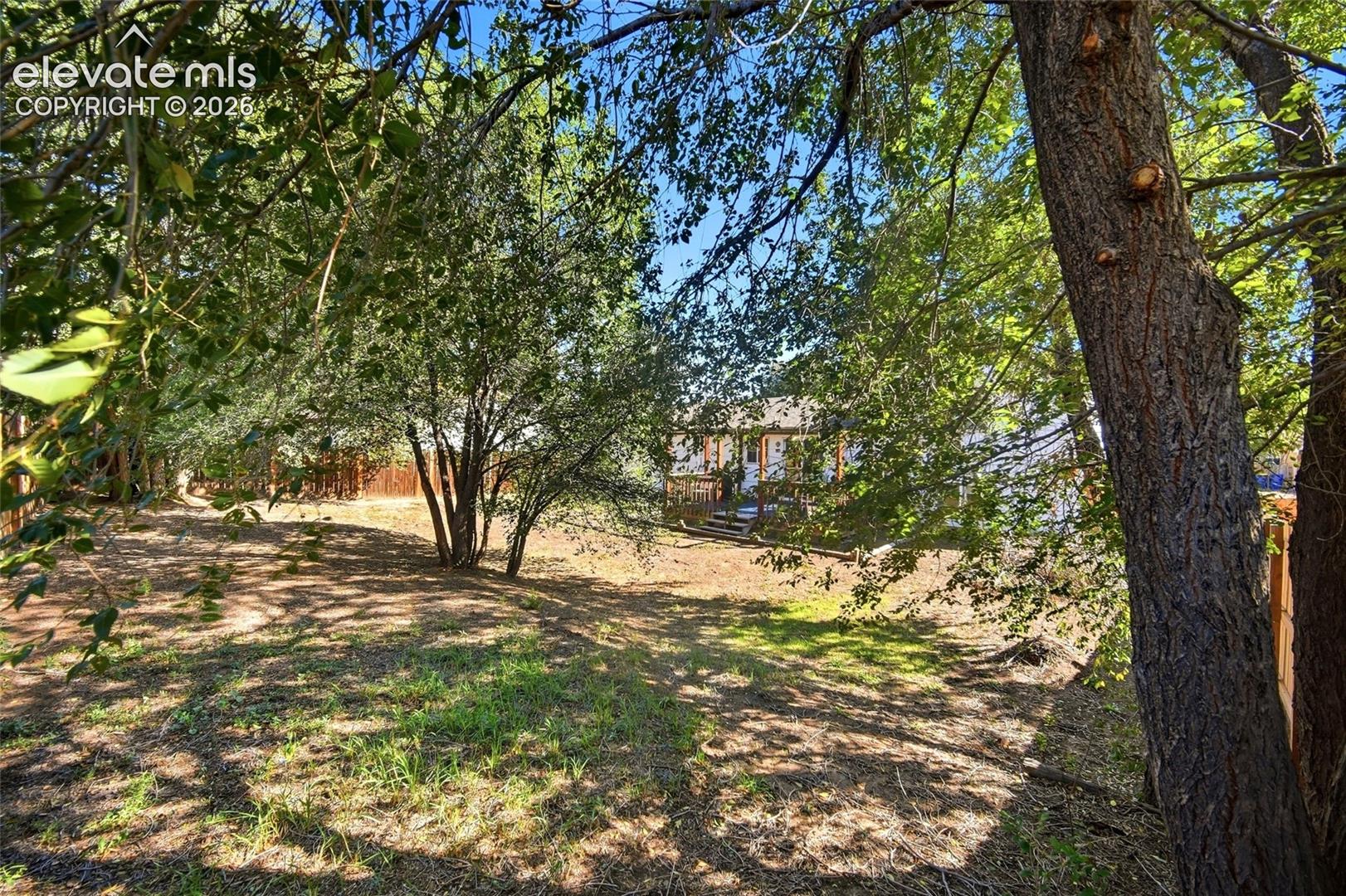 Rear yard with mature trees