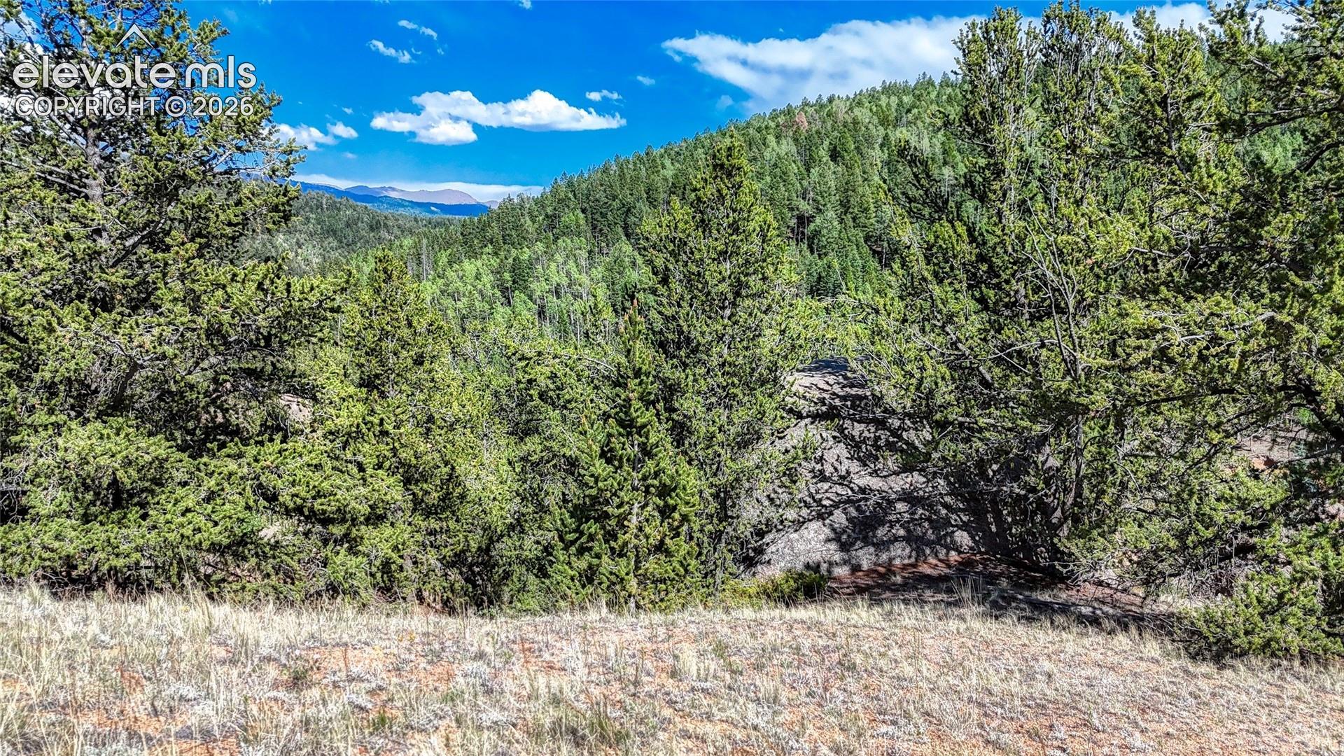Photo 7 of 282 Fairview Drive, Cripple Creek