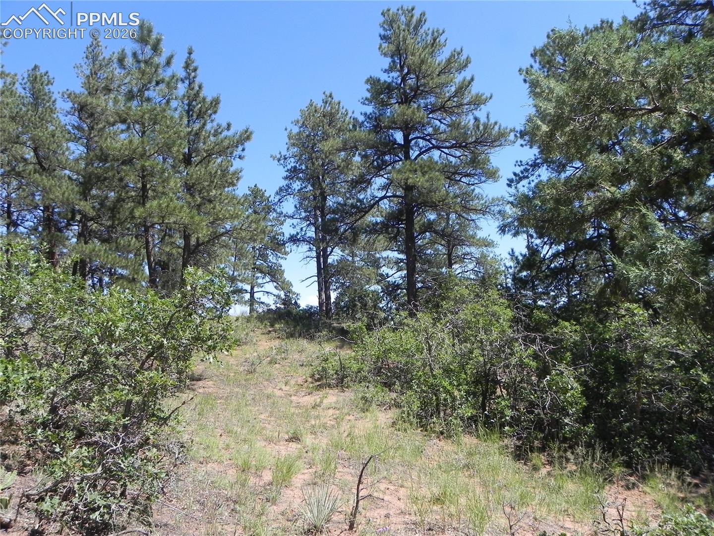 Photo 20 of 4144 Cheyenne Drive, Larkspur