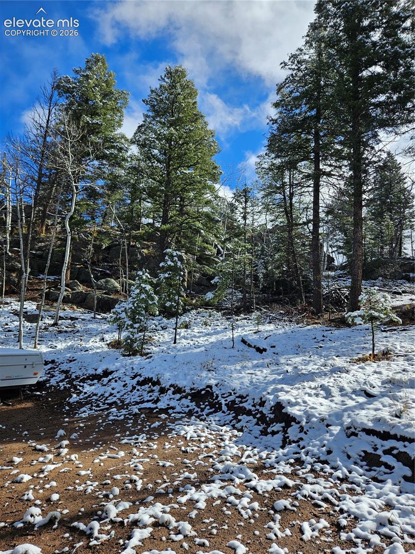 Sloped lot featuring mature evergreen trees, indigenous rock outcroppings, and native forest vegetation