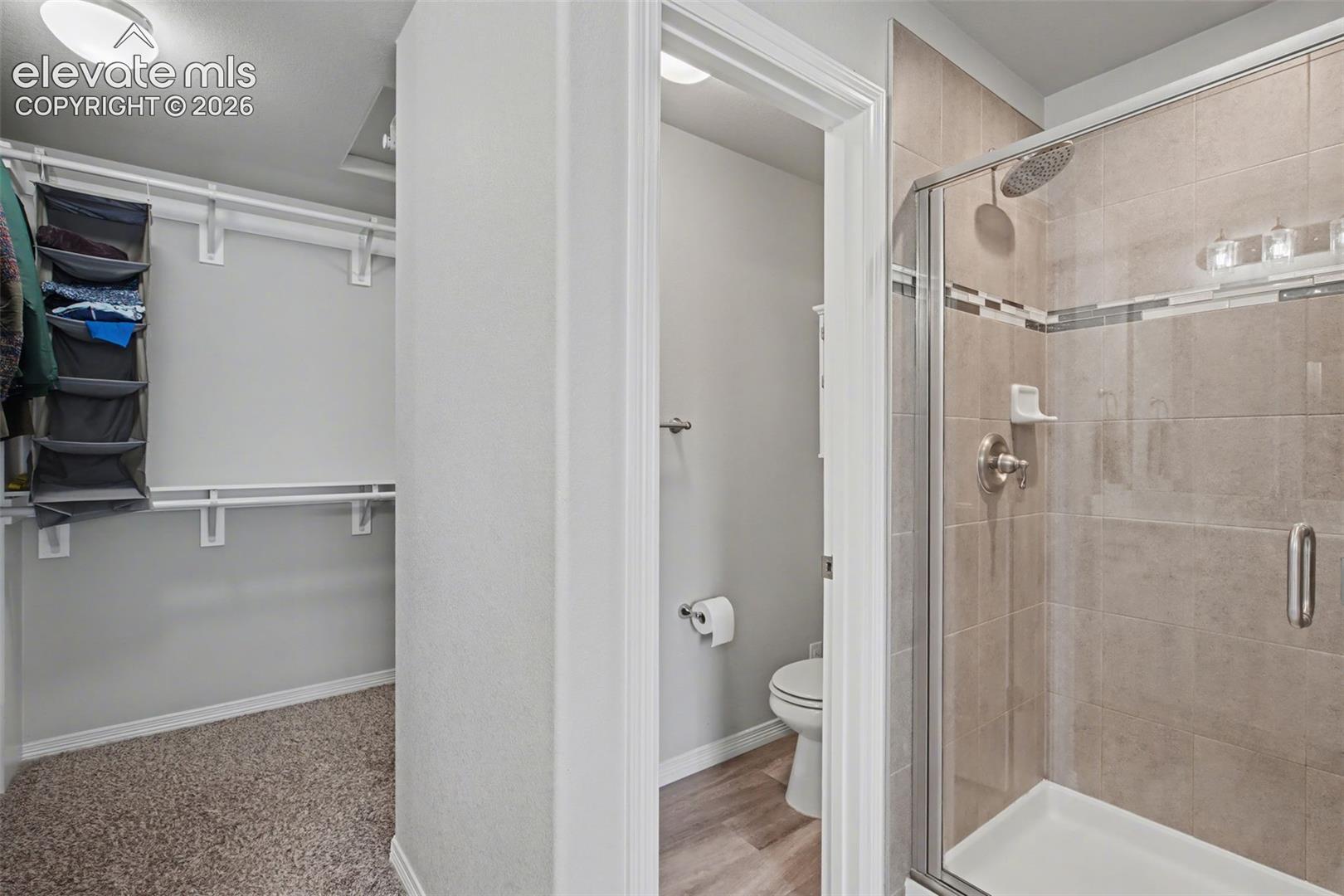 Walk-in closet with carpeted flooring and built-in shelving