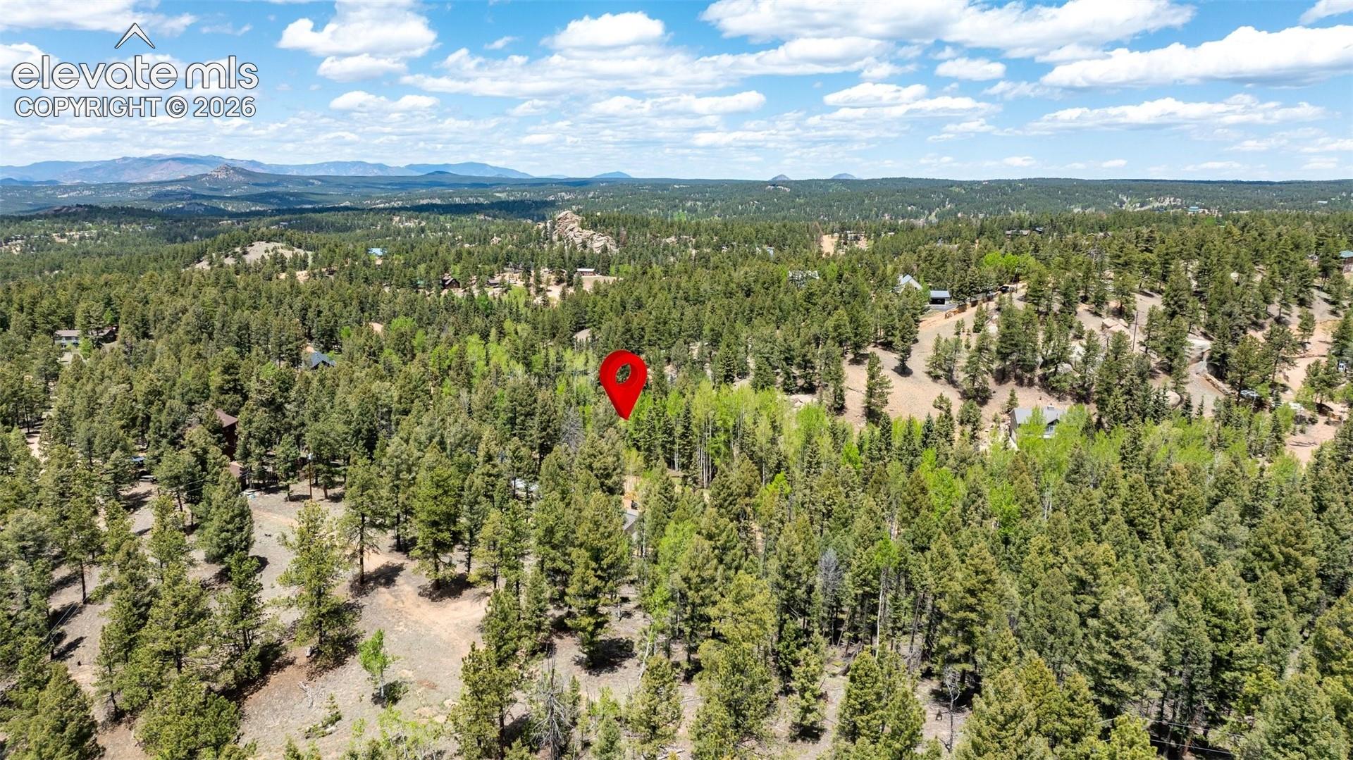 44 Silver Trl, Florissant, CO 80816