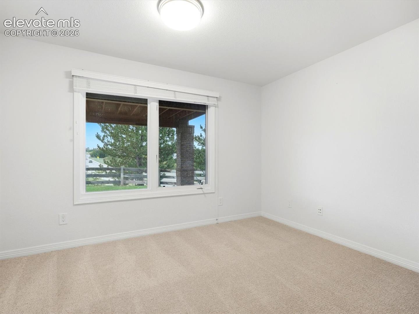 Neutral-toned wall-to-wall carpeting, window with white trim and integrated blinds, flush-mount dome lighting, and exterior scenery visible through the window