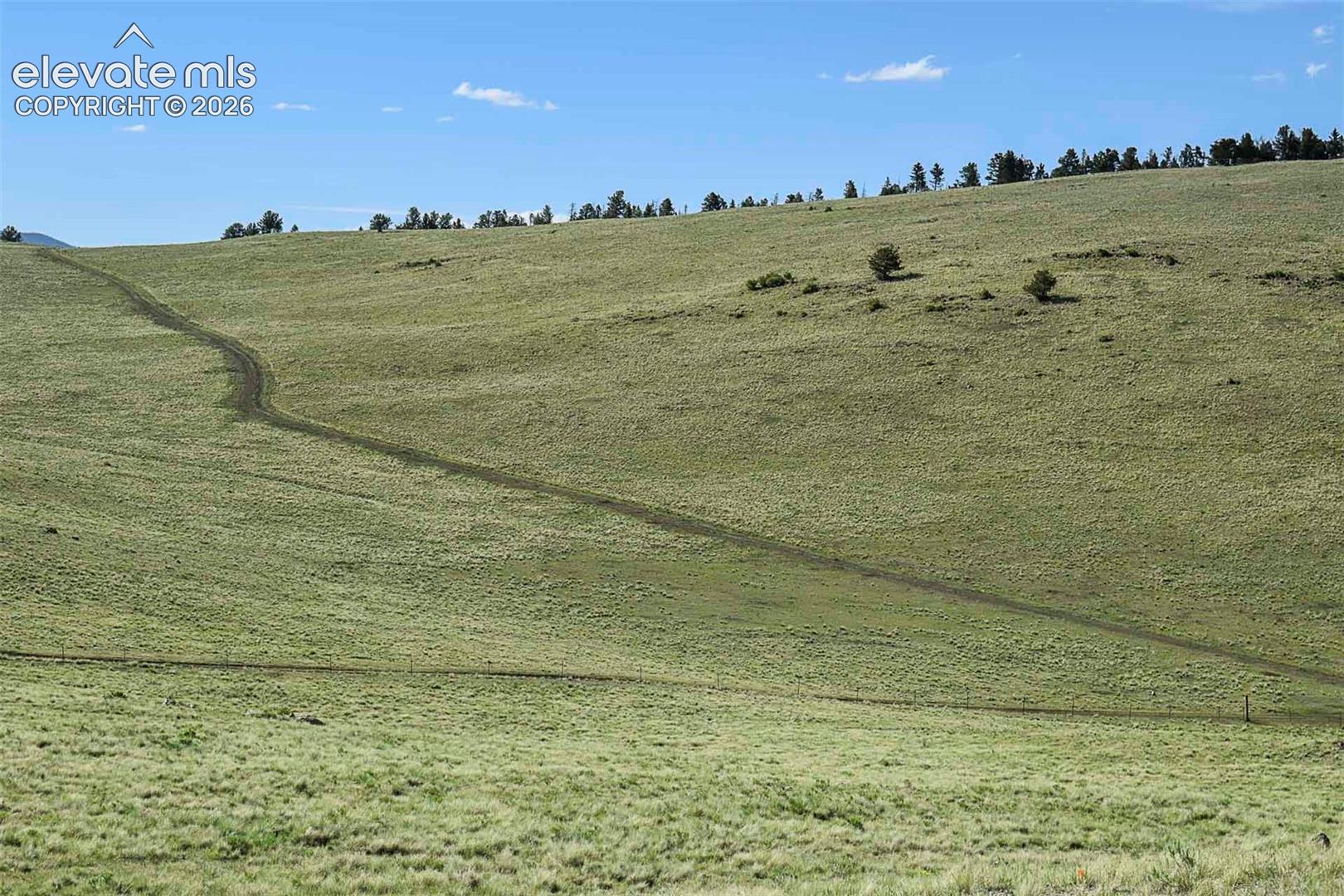 00 Bear Cat Rd, Guffey, CO 80820