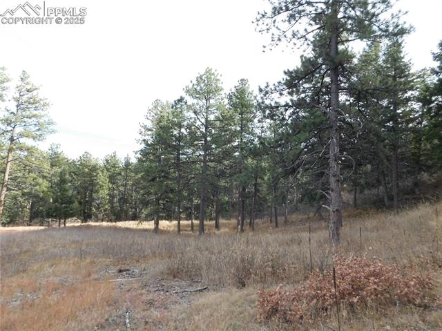 Photo 17 of 8055 Acoma Drive, Larkspur