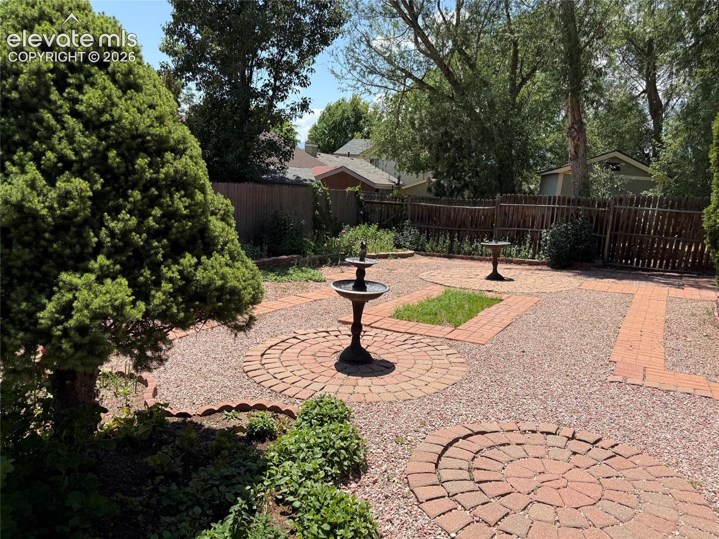 Back yard