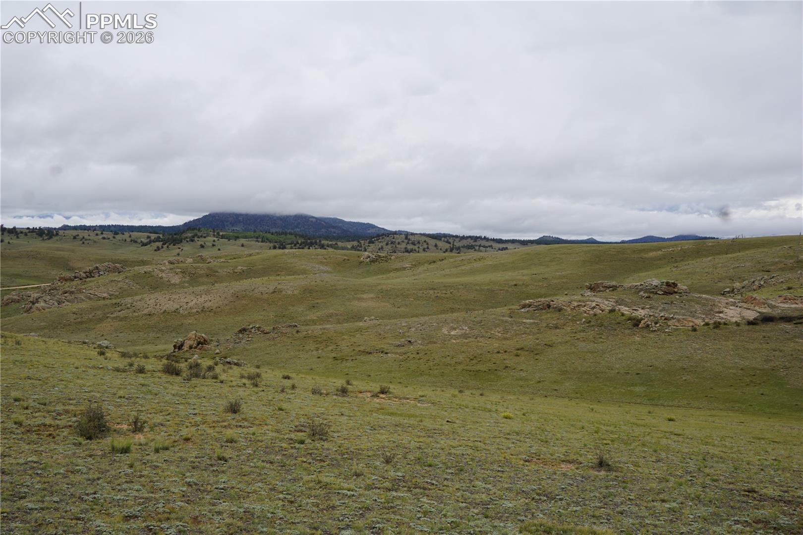 View to the North