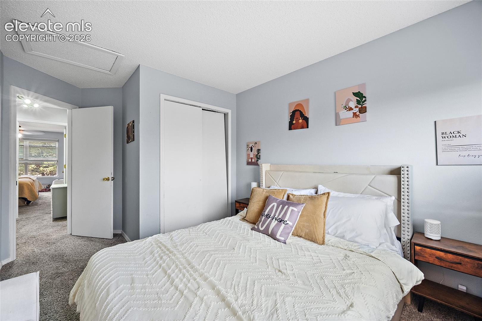 Plush carpeting, light gray wall finishes, and a built-in closet with sliding doors