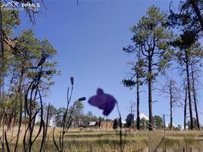 13395 Frank Rd, Colorado Springs, CO 80908