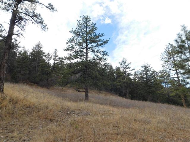 Photo 11 of 8055 Acoma Drive, Larkspur