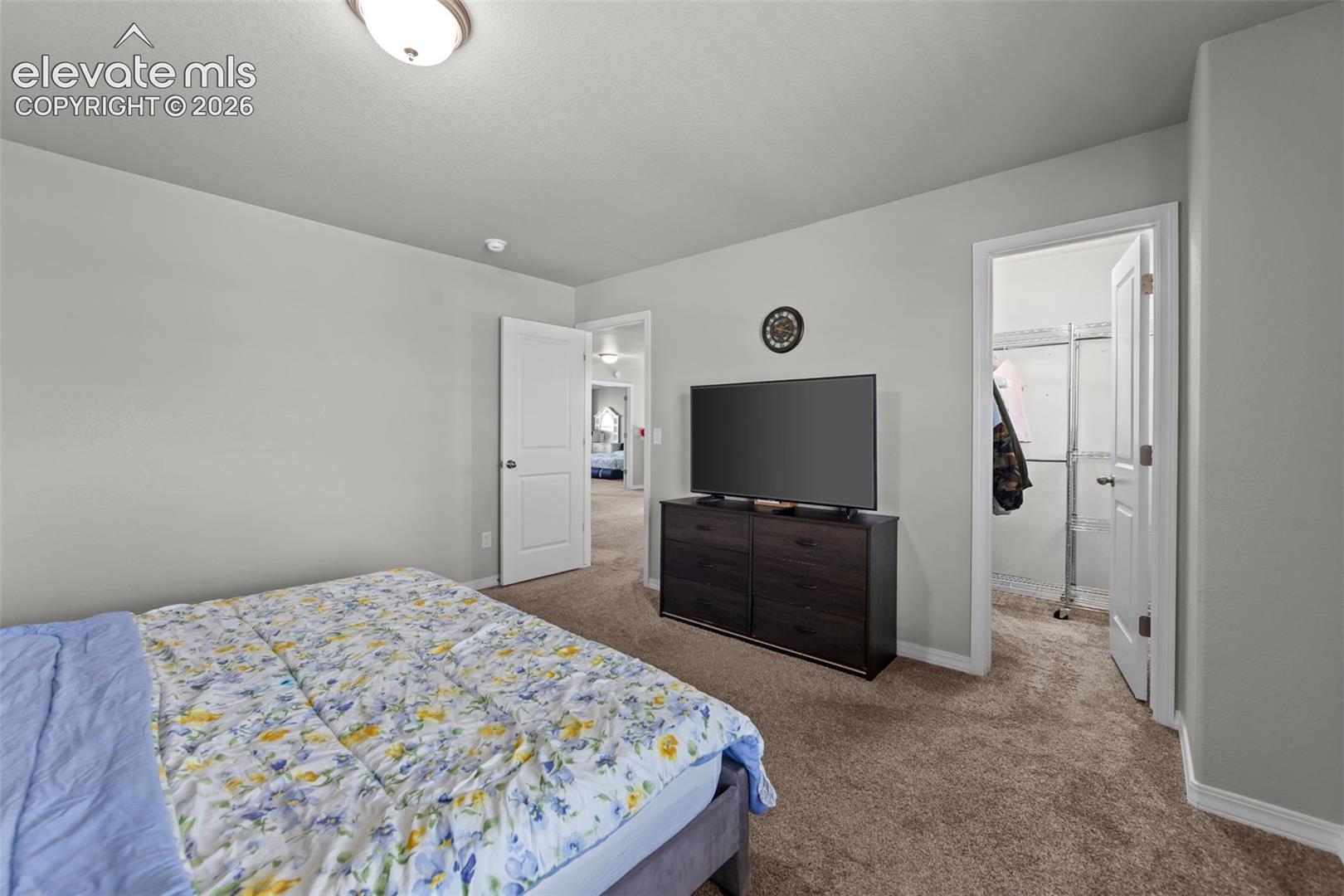 Neutral wall paint, carpet flooring, ceiling-mounted light fixture, white interior doors, and a closet with wire shelving